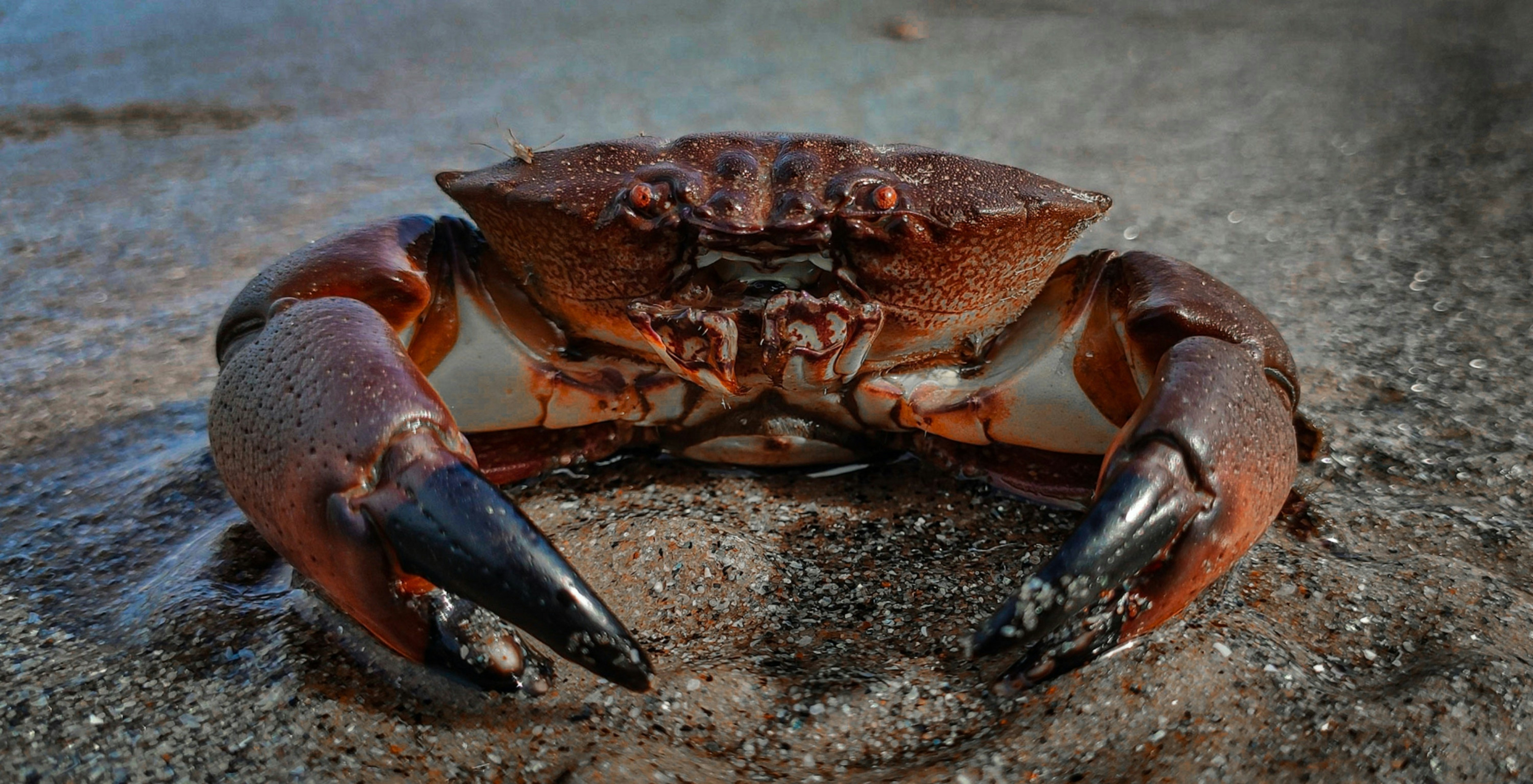 Море