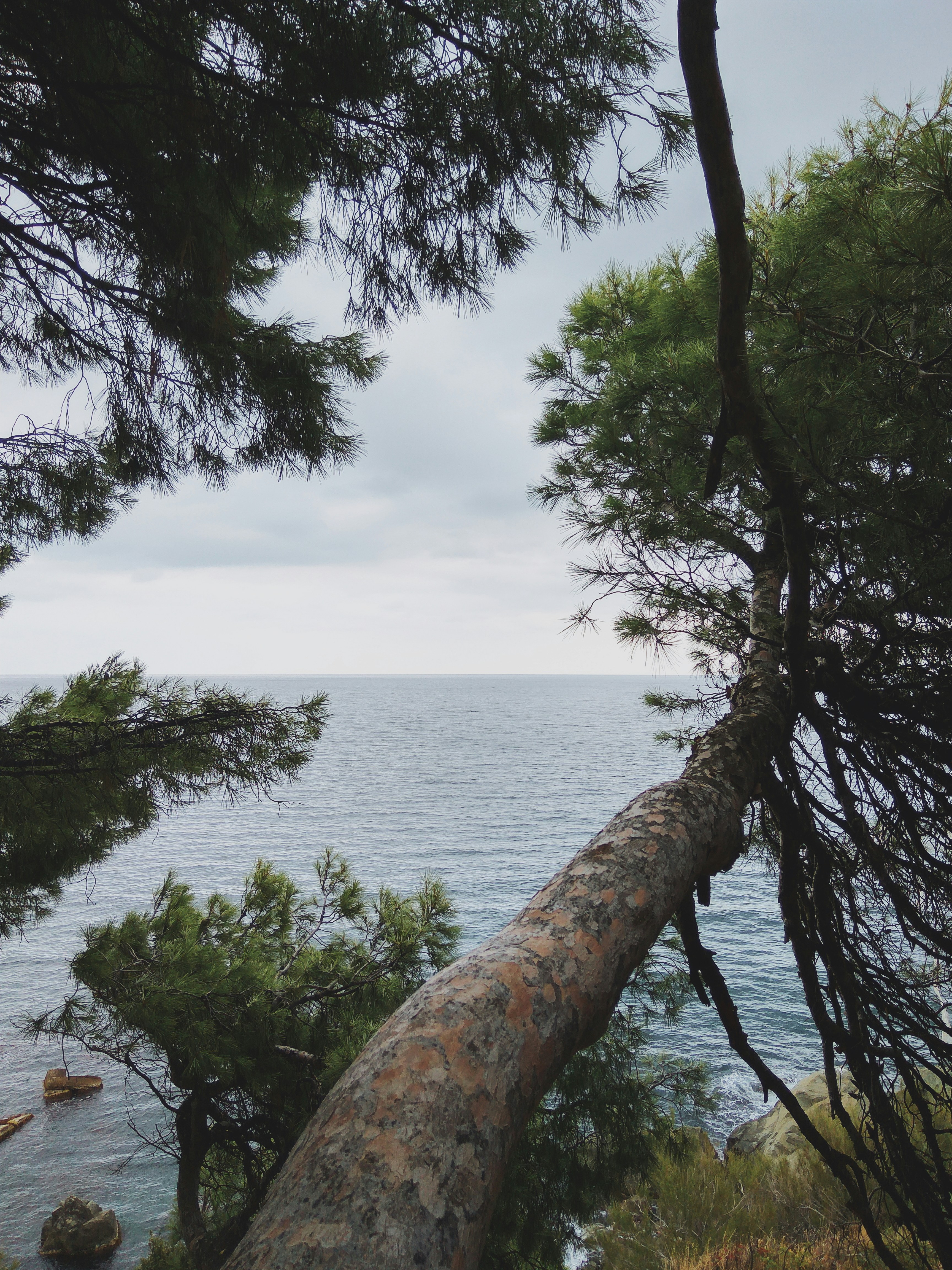 Море